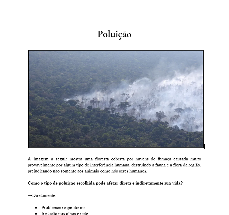 Atividade Poluição